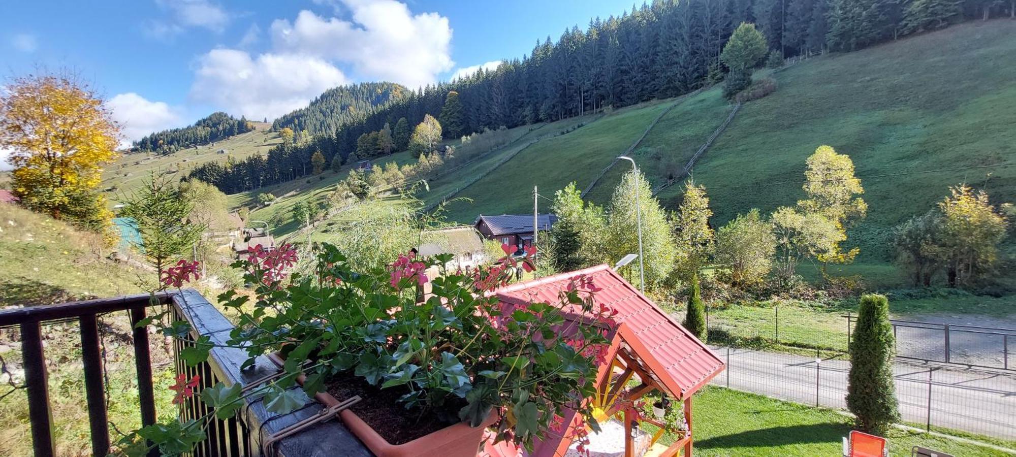 La Cascade 2 Hotel Moeciu De Sus Luaran gambar