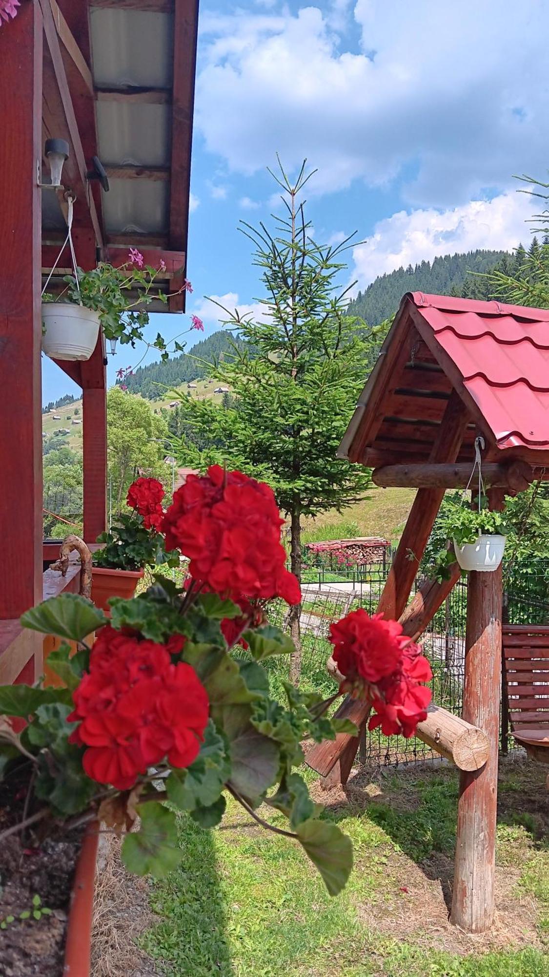 La Cascade 2 Hotel Moeciu De Sus Luaran gambar