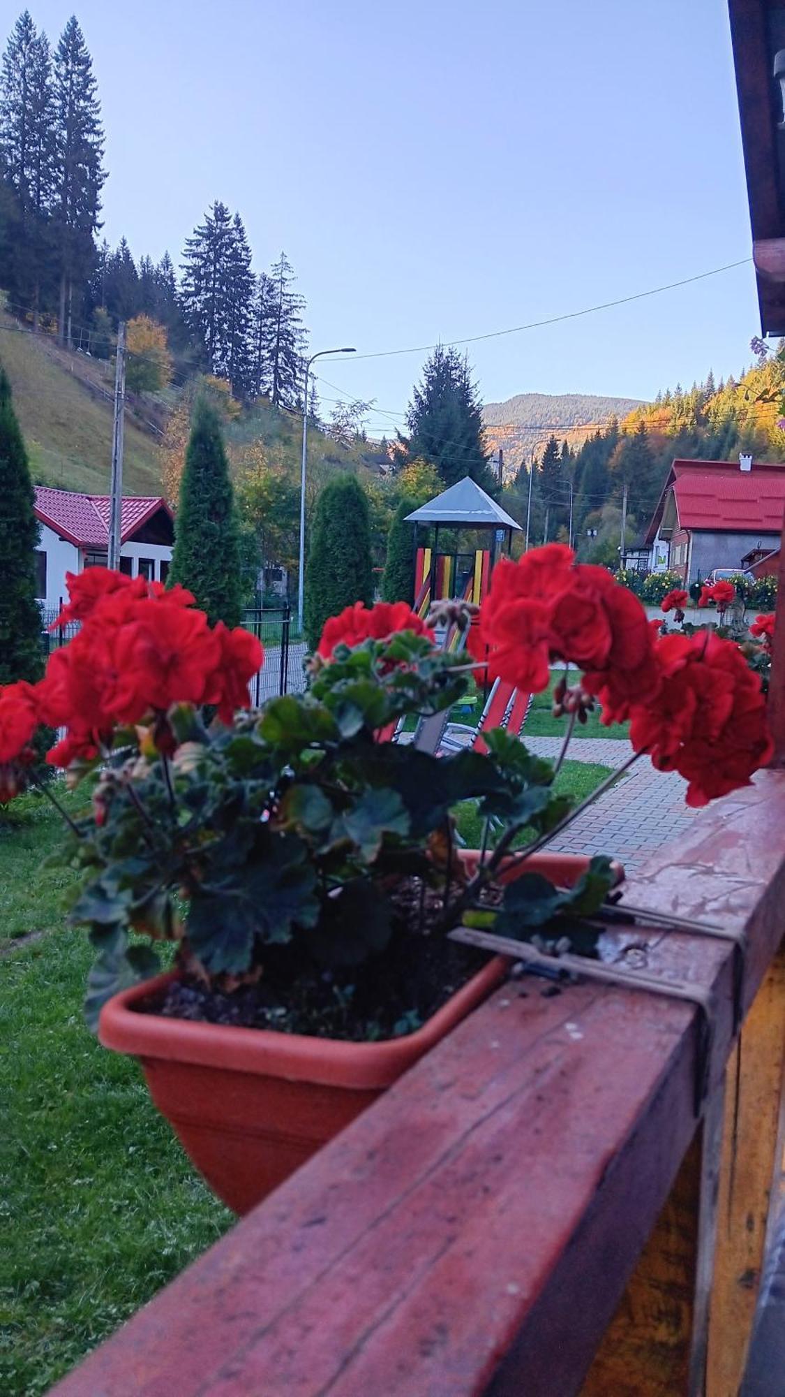 La Cascade 2 Hotel Moeciu De Sus Luaran gambar