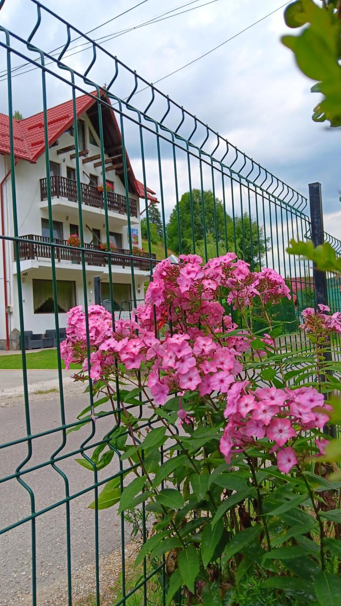 La Cascade 2 Hotel Moeciu De Sus Luaran gambar